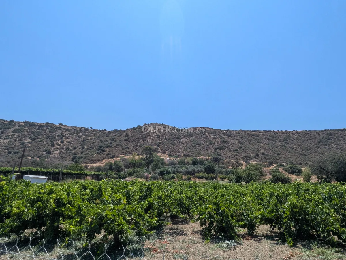 2-bedroom Detached Villa 65 sqm in Pissouri - 12