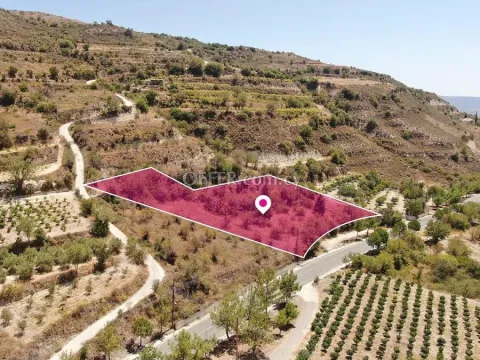 Residential Field in Praitori Paphos - 4