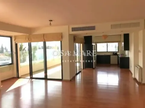 3 bedroom penthouse in Agios Andreas - 8