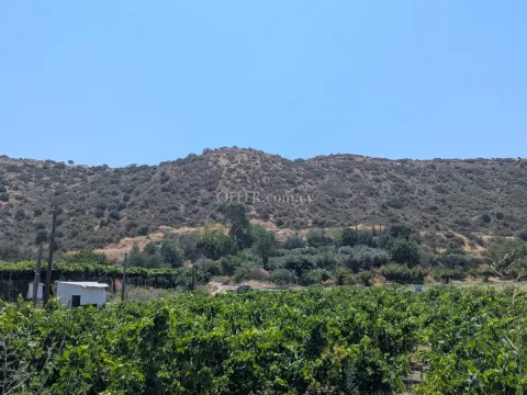2-bedroom Detached Villa 65 sqm in Pissouri - 13