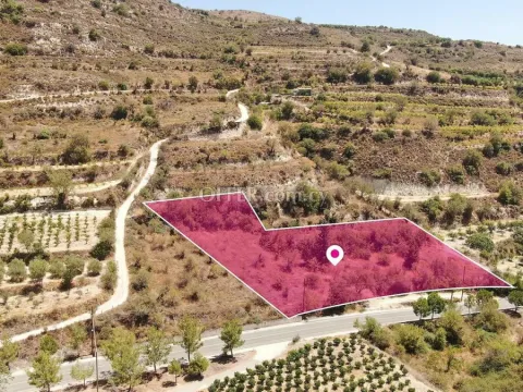 Residential Field in Praitori Paphos - 3