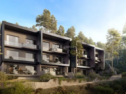 Apartment (Flat) in Prodromos, Limassol for Sale - 5