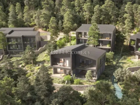 House (Semi detached) in Prodromos, Limassol for Sale - 3