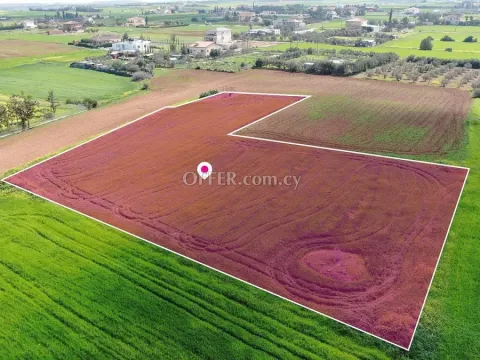 Residential field in Agioi Trimithias Nicosia