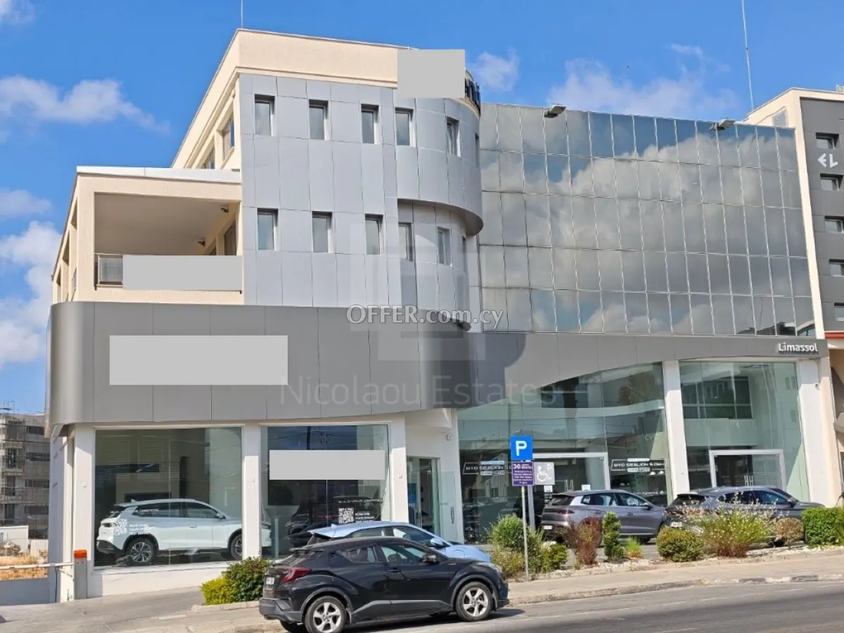 Modern 300sq.m office space for rent in Linopetra - 10