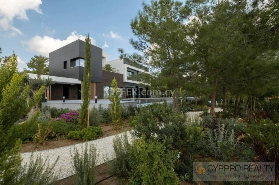 6 Bedroom Villa in Souni - 7