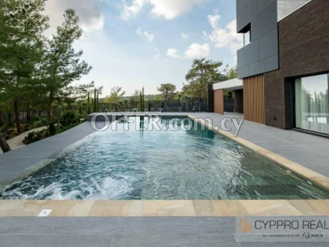 6 Bedroom Villa in Souni - 4