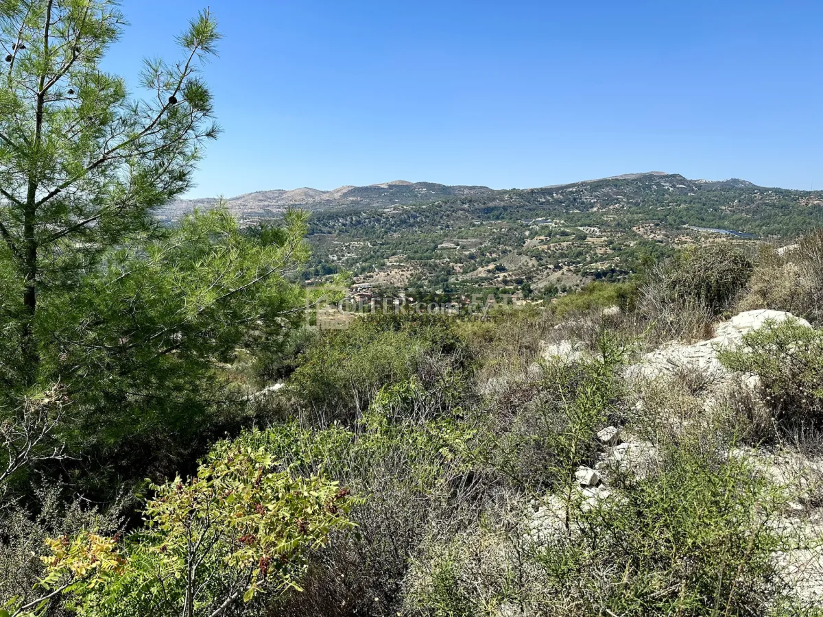 Residential Land for Sale in Trimiklini - 7