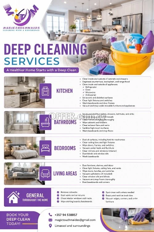 PROFESSIONAL CLEANING SERVICES - 2