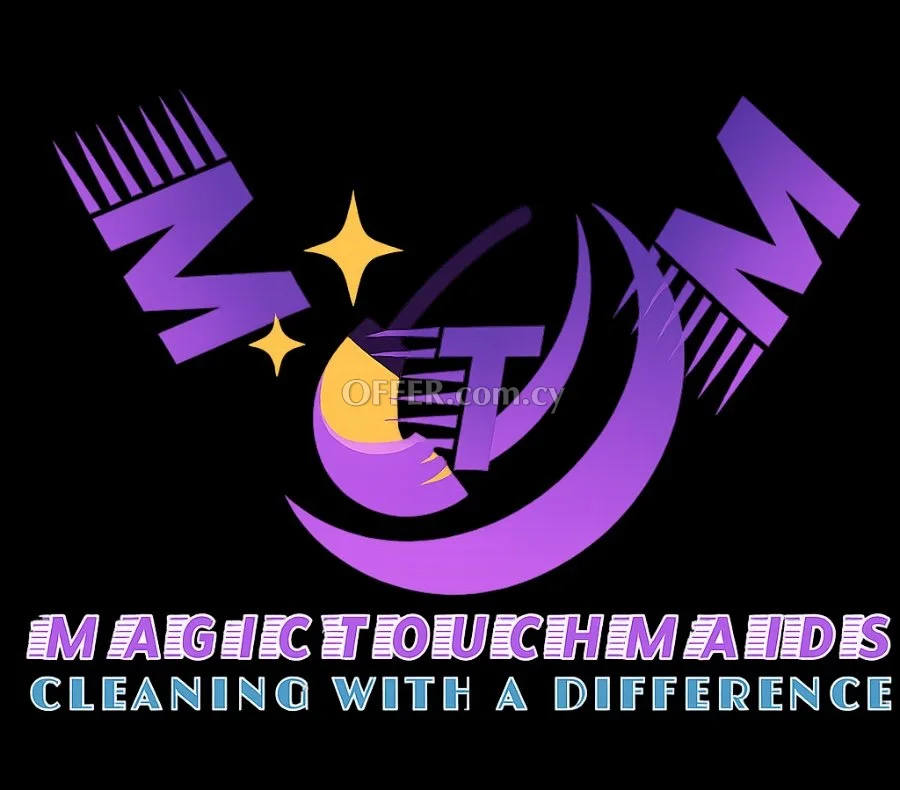 PROFESSIONAL CLEANING SERVICES - 2