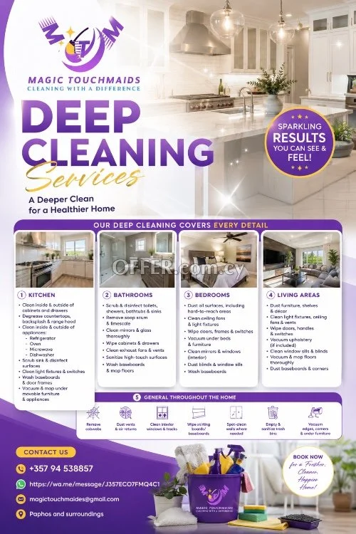 PROFESSIONAL CLEANING SERVICES - 1
