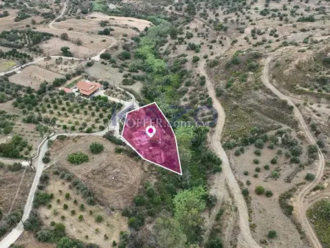 Field in Ora, Larnaca - Main Photo