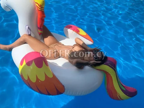 New yasmin - Photo 1