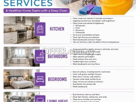 PROFESSIONAL CLEANING SERVICES - 2