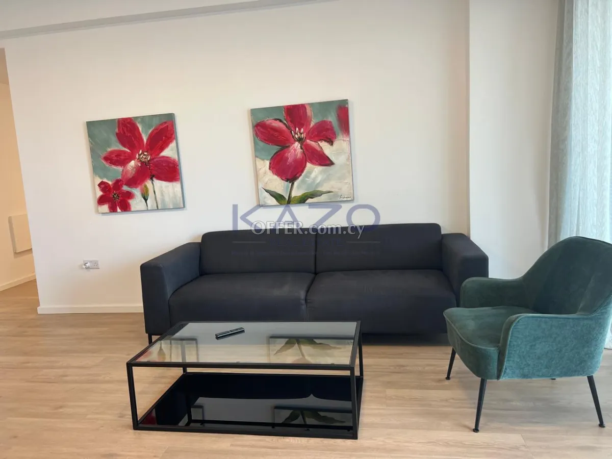 Luxury One Bedroom Apartment for Rent in Agia Zoni - City Center - 9