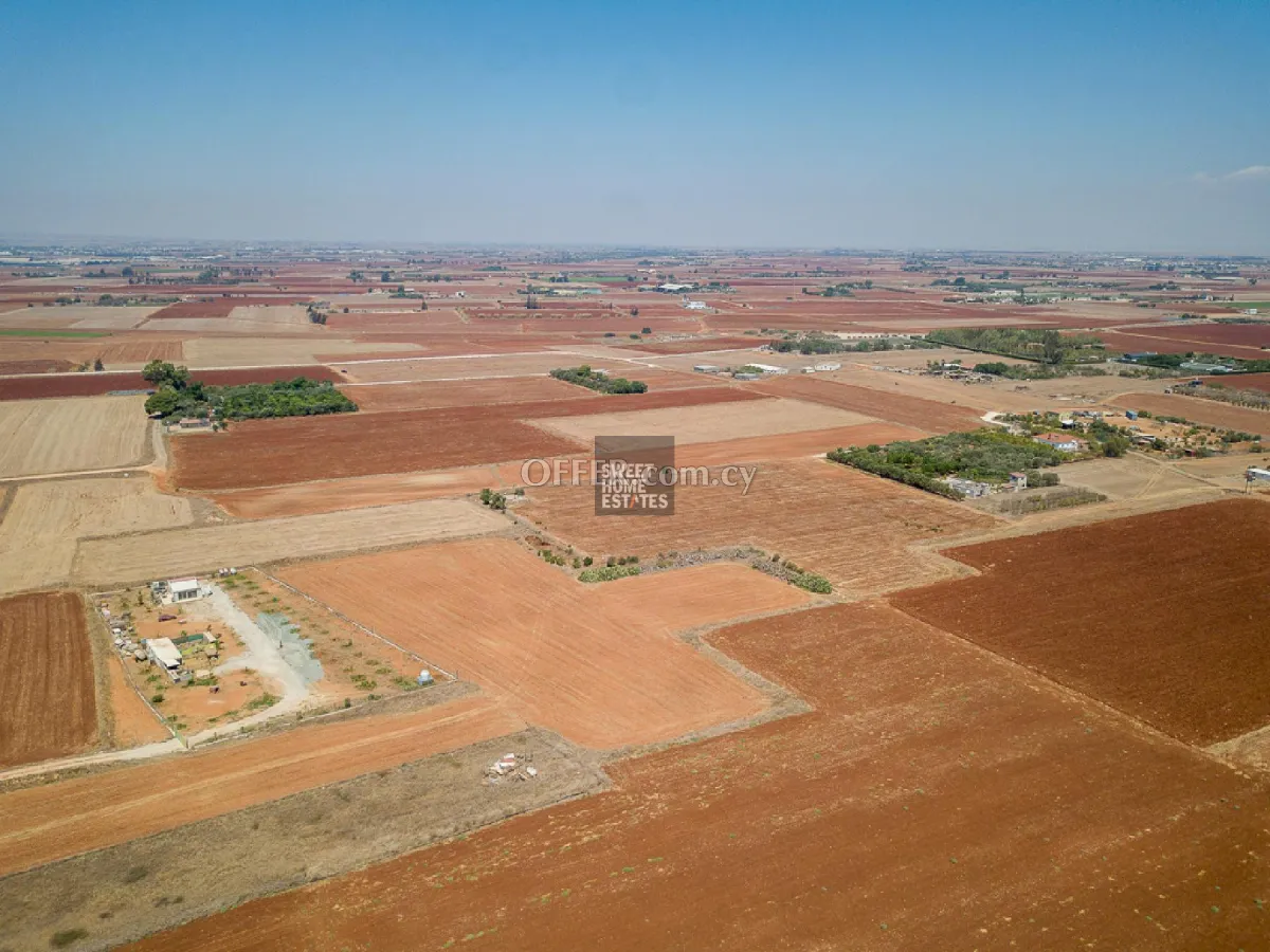Agricultural Field in Avgorou - 6