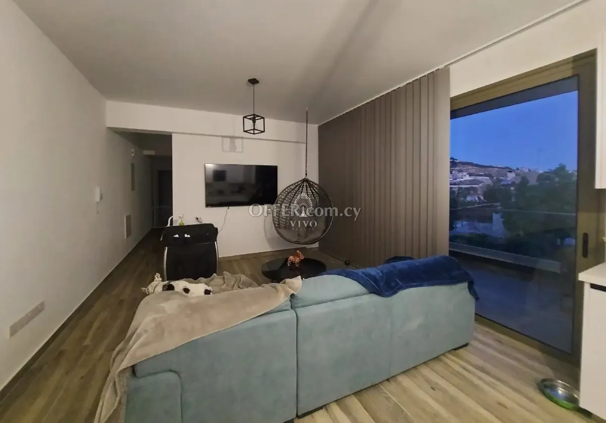3 BEDROOM PENTHOUSE IN PAREKKLISIA - 9