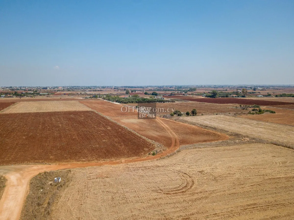 Agricultural Field in Avgorou - 4