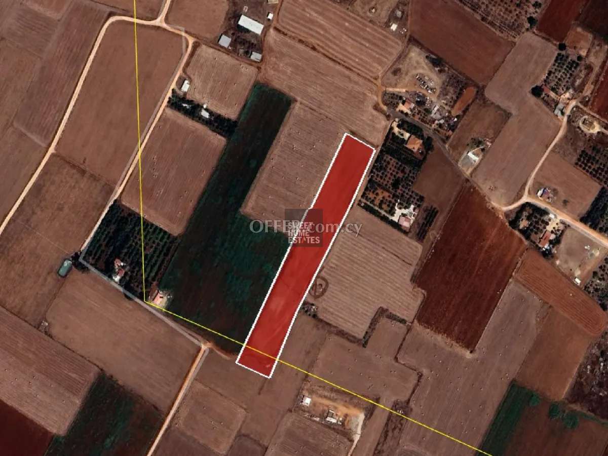 Agricultural Field in Avgorou - 3