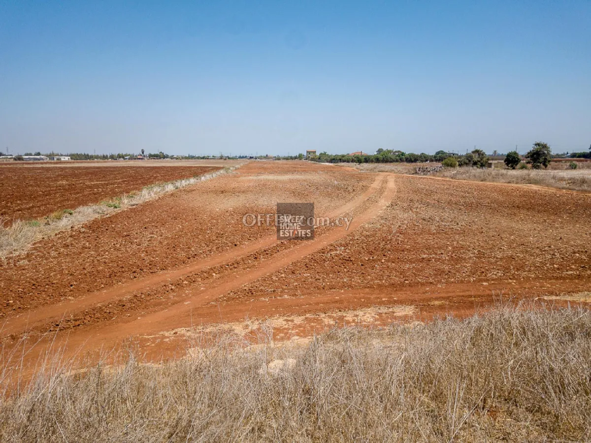 Agricultural Field in Avgorou - 2