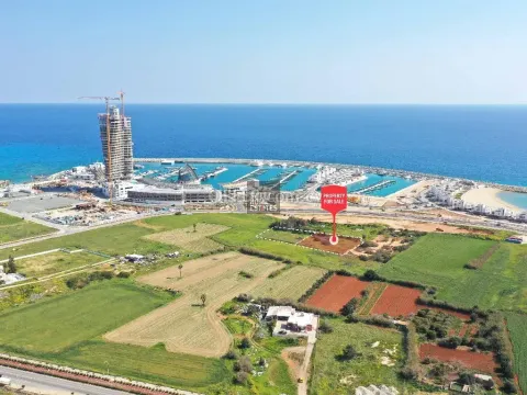 Touristic Field Share in Agia Napa Marina