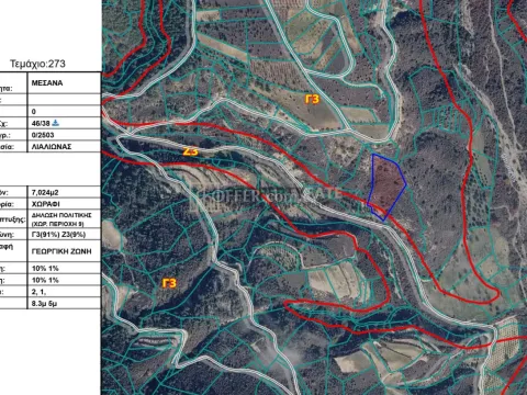 Agricultural Land for Sale in Mesana, Pafos - 3