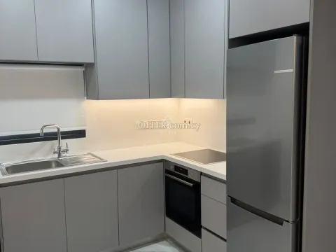 NEW TWO BEDROOM APARTMENT IN KAPSALOS, LIMASSOL - 10