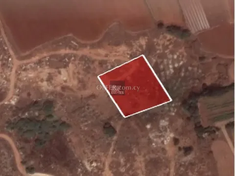 Residential Field in Sotira - 2
