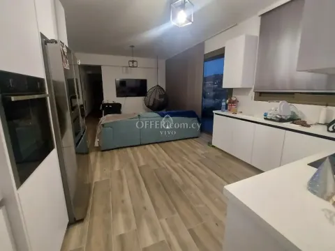 3 BEDROOM PENTHOUSE IN PAREKKLISIA - 8
