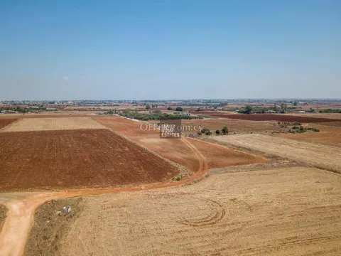Agricultural Field in Avgorou - 4