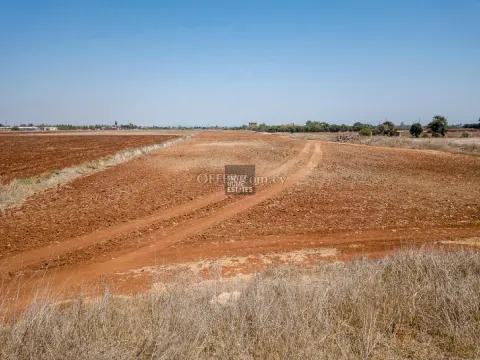 Agricultural Field in Avgorou - 2
