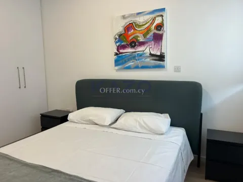 Luxury One Bedroom Apartment for Rent in Agia Zoni - City Center - 3
