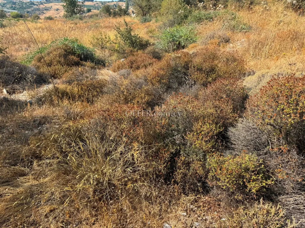 Land Parcel 3350 sm in Statos–Agios Fotios, Paphos - 2