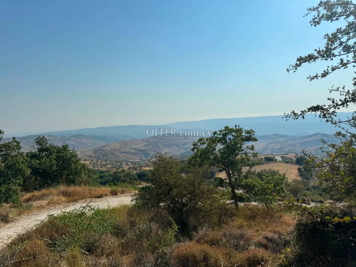 Land Parcel 3350 sm in Statos–Agios Fotios, Paphos - 7