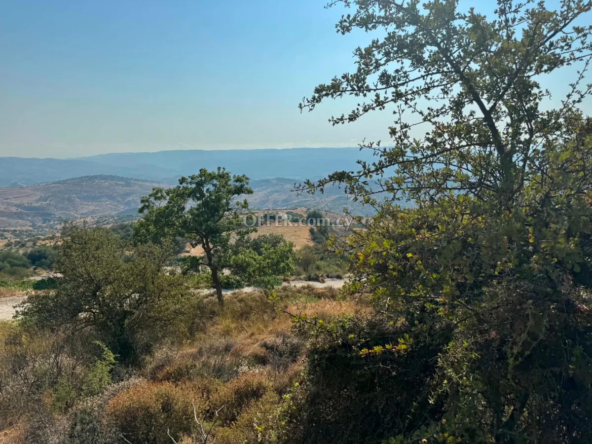 Land Parcel 3350 sm in Statos–Agios Fotios, Paphos - 5