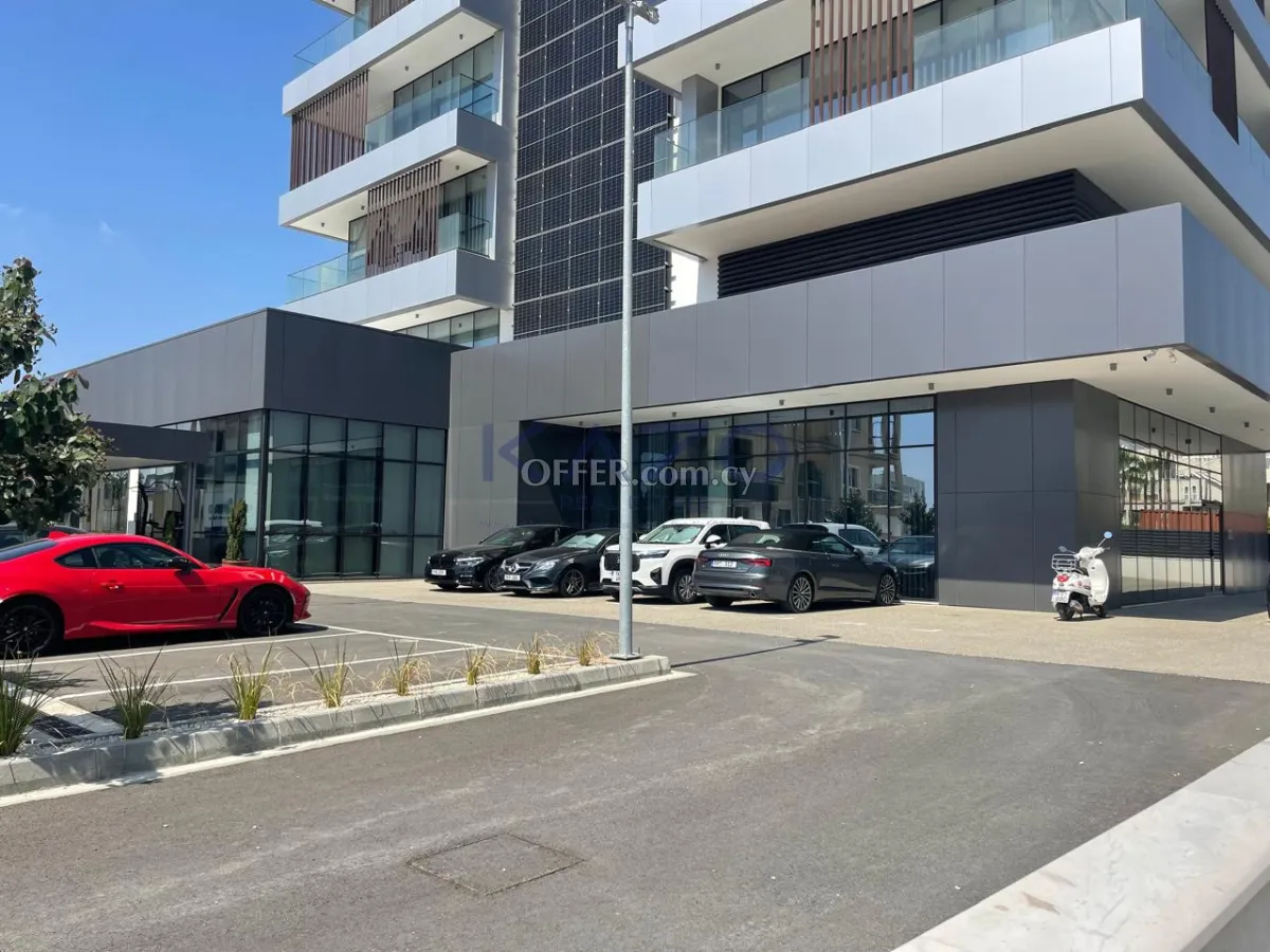 Modern 279 m2 Office PLUS 96m2 covered balcony for Rent in Kapsalos - 8
