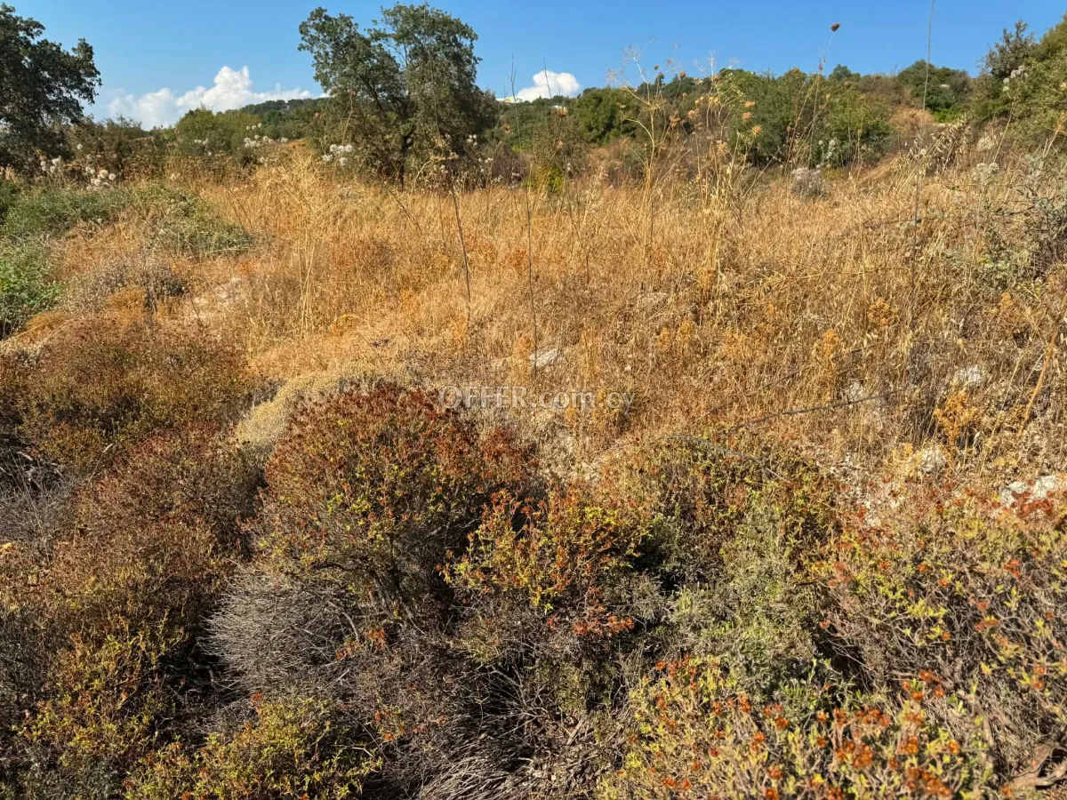 Land Parcel 3350 sm in Statos–Agios Fotios, Paphos - 3