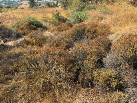 Land Parcel 3350 sm in Statos–Agios Fotios, Paphos - 2