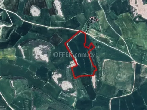 (Agricultural) in Kalo Chorio, Larnaca for Sale