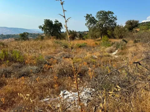 Land Parcel 3350 sm in Statos–Agios Fotios, Paphos - Main Photo