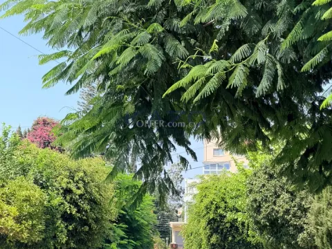 Modern 3-Bed Top-Floor Apartment in Petrou & Pavlou - 10