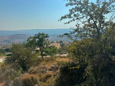 Land Parcel 3350 sm in Statos–Agios Fotios, Paphos - 5