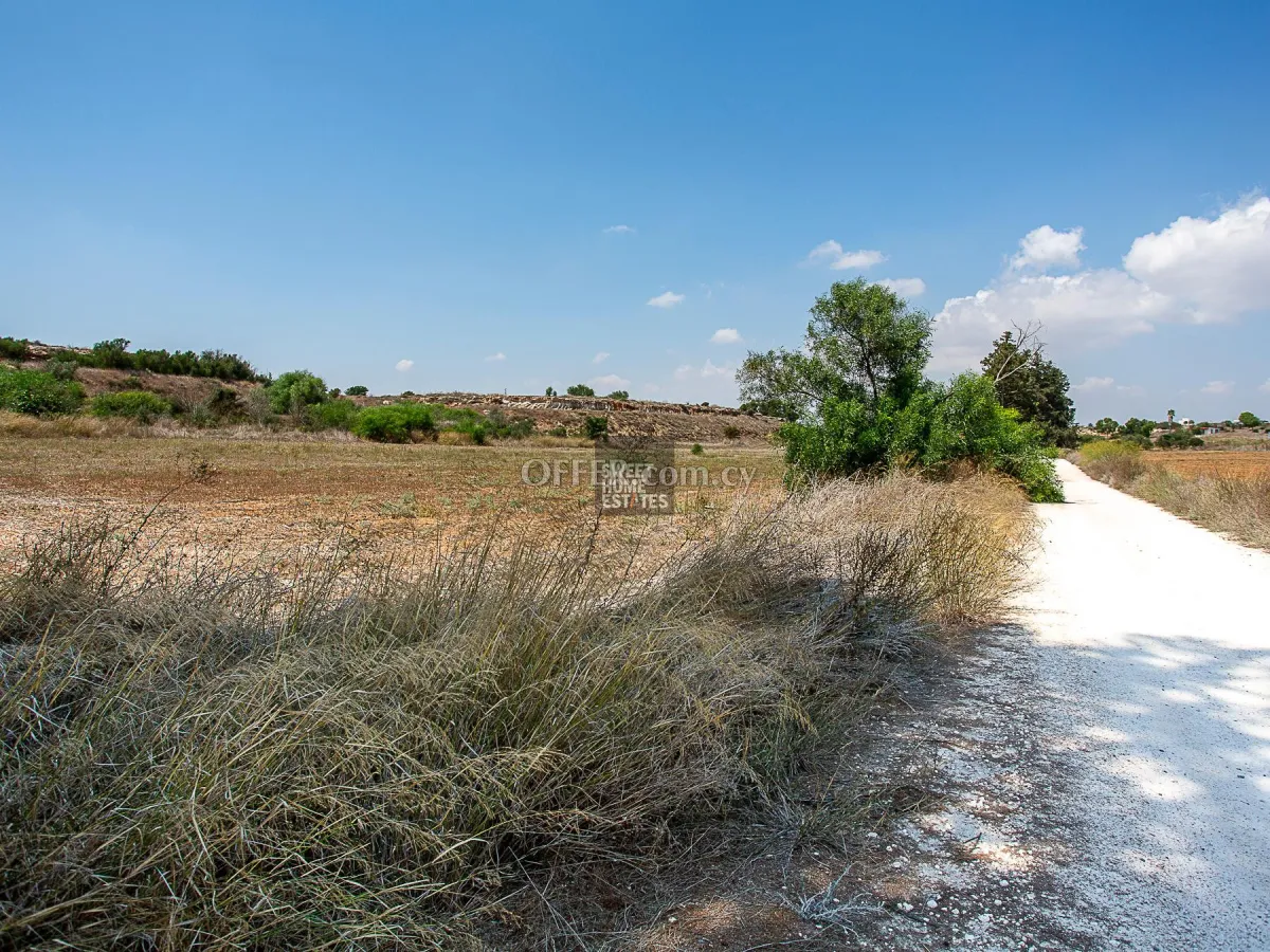 Field in Frenaros, Famagusta - 1