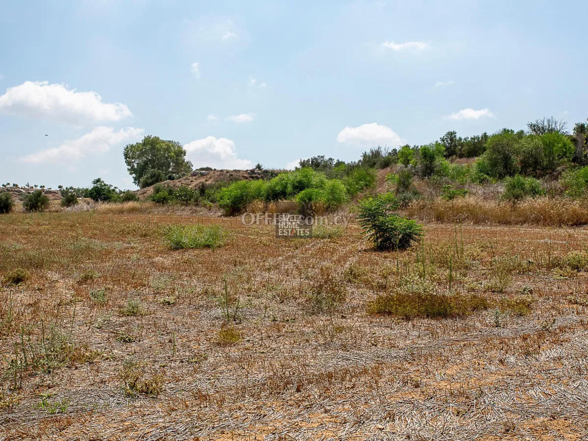 Field in Frenaros, Famagusta - 6