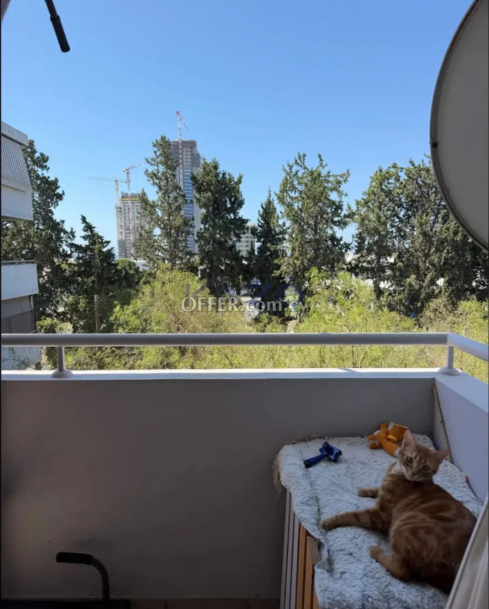 Spacious 3-Bedroom Apartment in Agios Ioannis - 7
