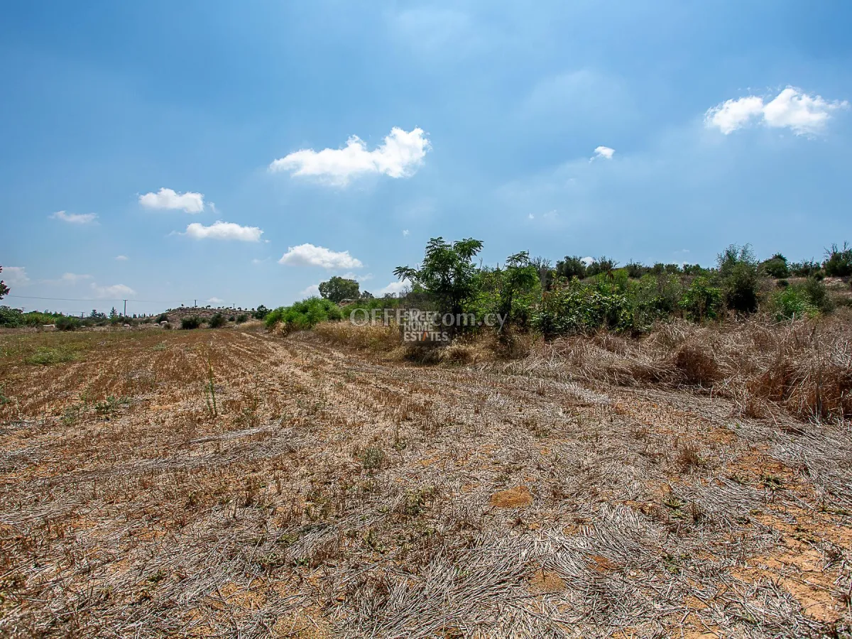 Field in Frenaros, Famagusta - 5