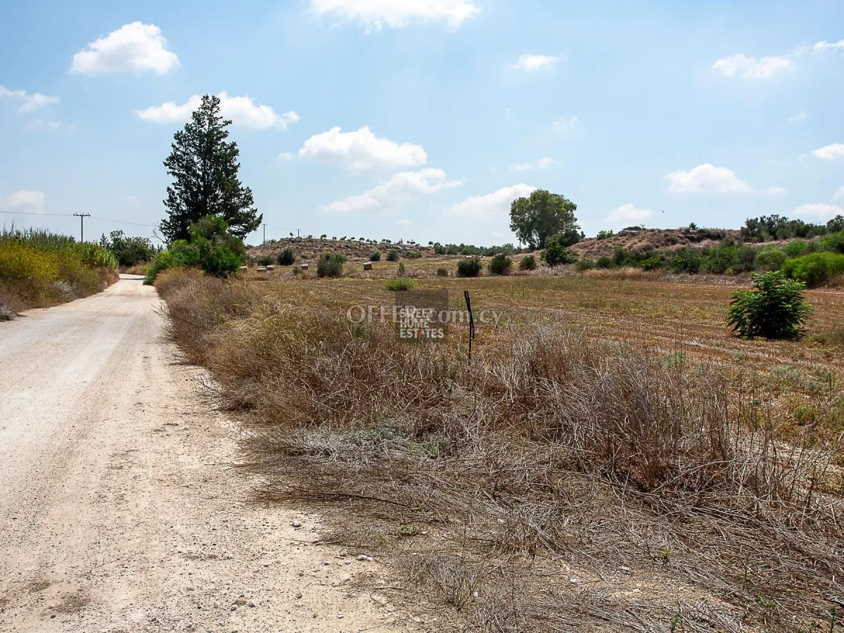 Field in Frenaros, Famagusta - 4