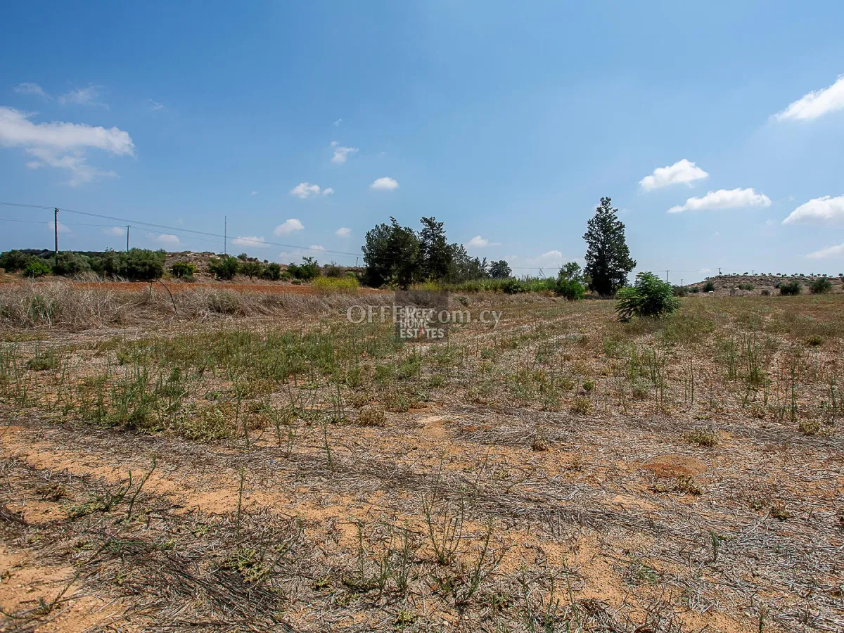 Field in Frenaros, Famagusta - 3