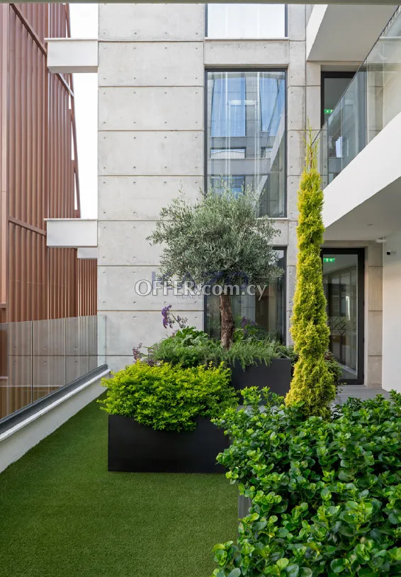 Contemporary Fully Furnished Commercial Building in City Center - 2