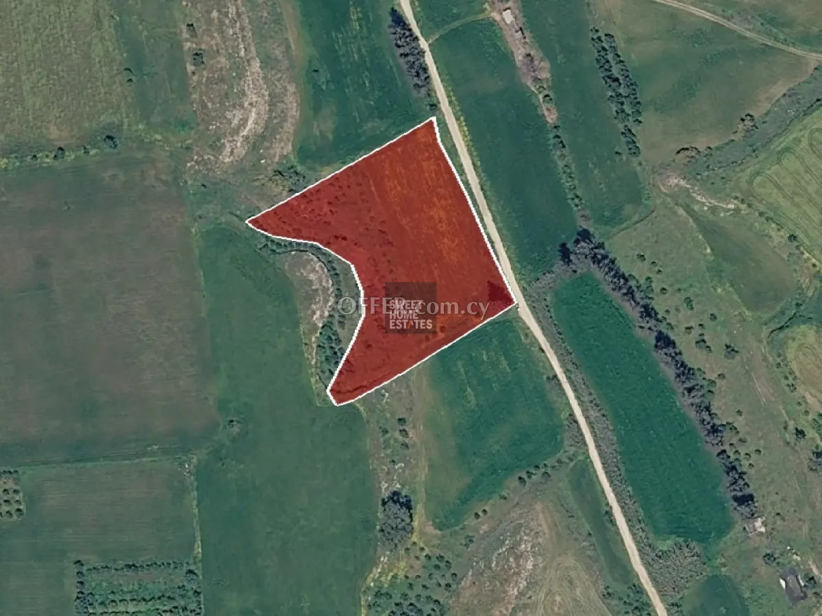 Field in Frenaros, Famagusta - 2